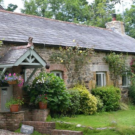 Trewassick Barn Bed and Breakfast New Quay Buitenkant foto